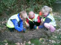 TrioCrofton Hammond Infants Planting Project 029